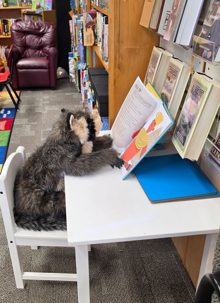 Frenchman's Bay Library